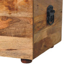 Beige Buffalo Hide Leather Storage Trunk | Oak-ish Finish - Avivra