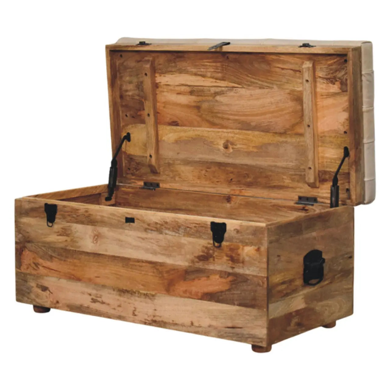 Beige Buffalo Hide Leather Storage Trunk | Oak-ish Finish - Avivra