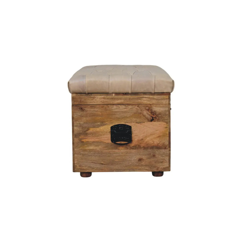 Beige Buffalo Hide Leather Storage Trunk | Oak-ish Finish - Avivra